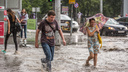 Лето уходит: северный циклон несёт в Новосибирск новые дожди