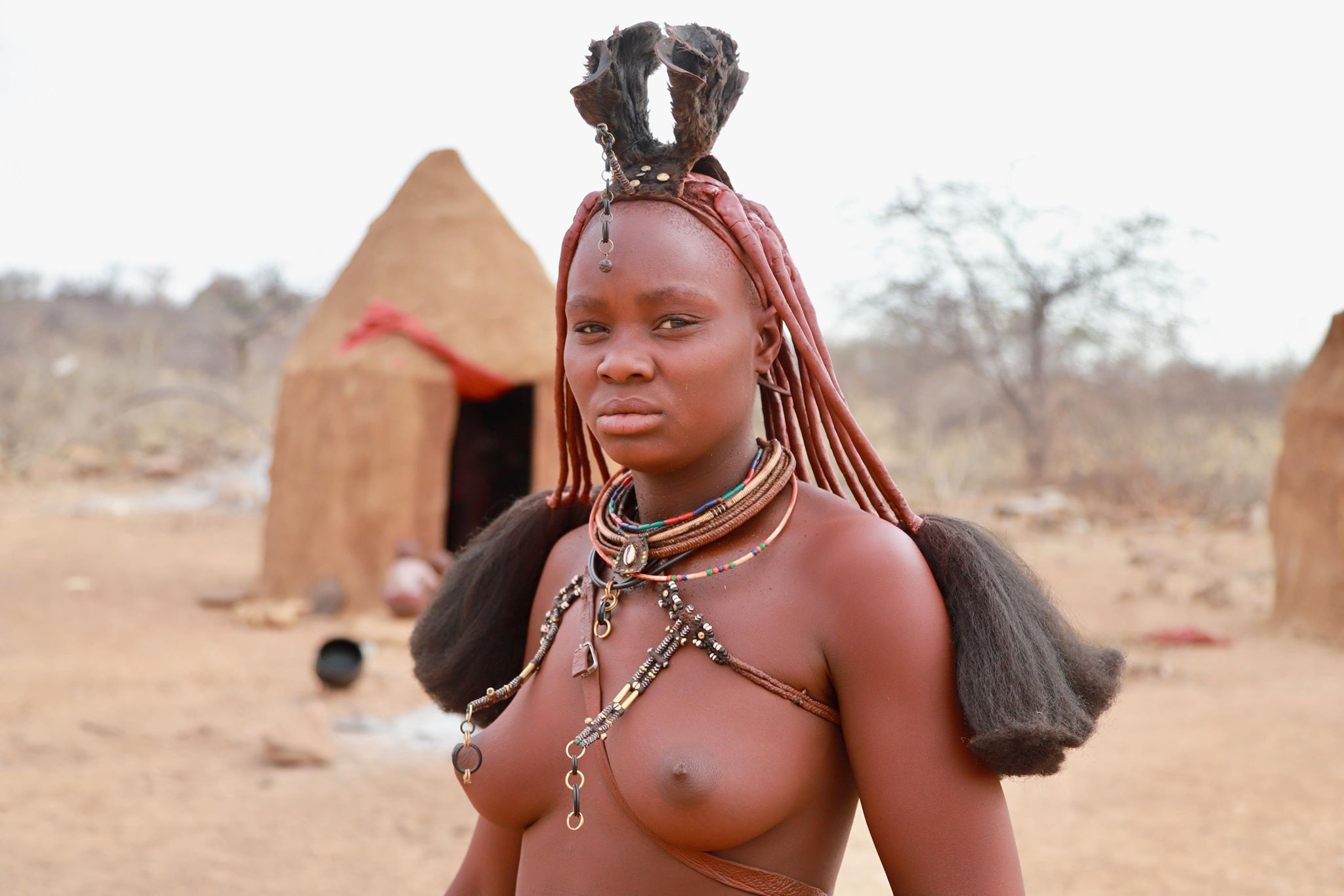 Namibian tits