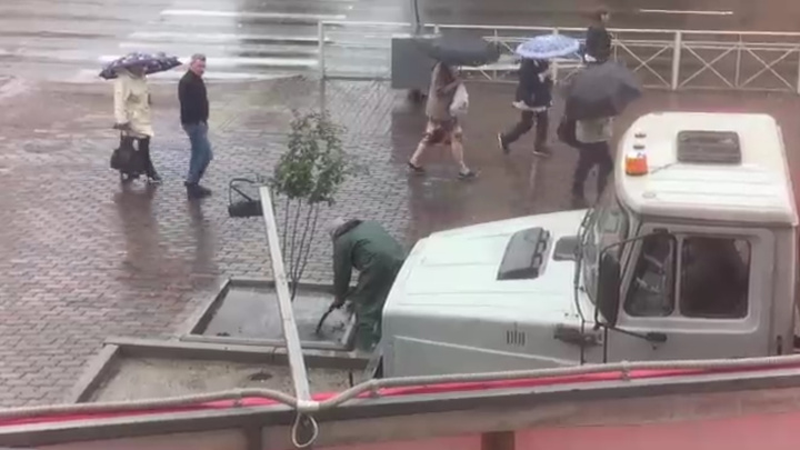 Видео: в центре Красноярска деревья поливали в дождь. В мэрии объяснили зачем