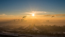 Дышать можно: Роспотребнадзор назвал новосибирский воздух чистым, несмотря на густой смог