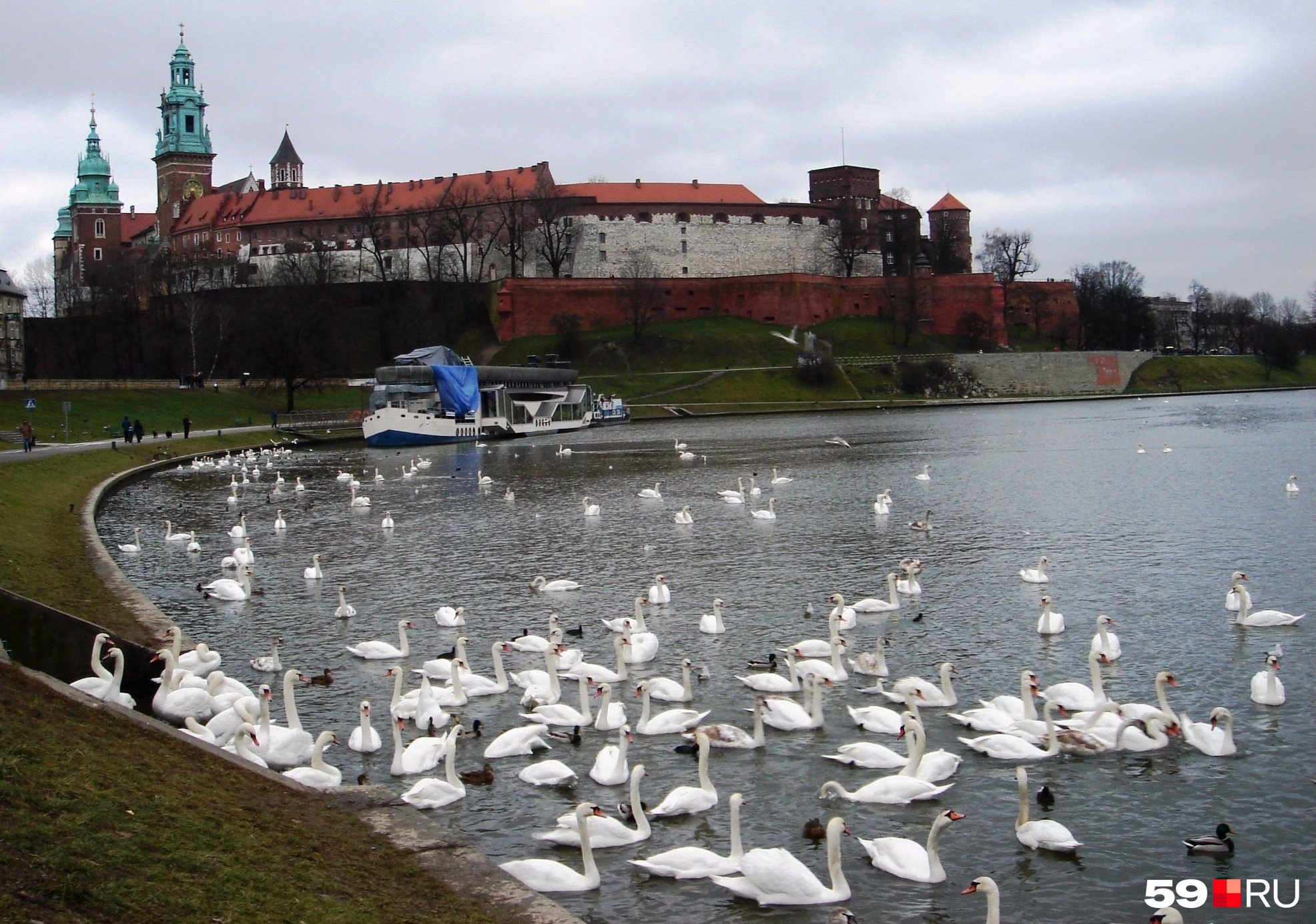 Виза пермь