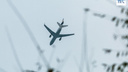 Красноярскую авиакомпанию оштрафовали за задержку чартера на
8 часов