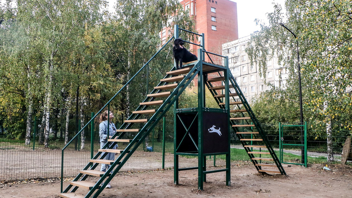 Проверяем новую площадку для собак в парке Пушкина вместе с хвостатым экспертом