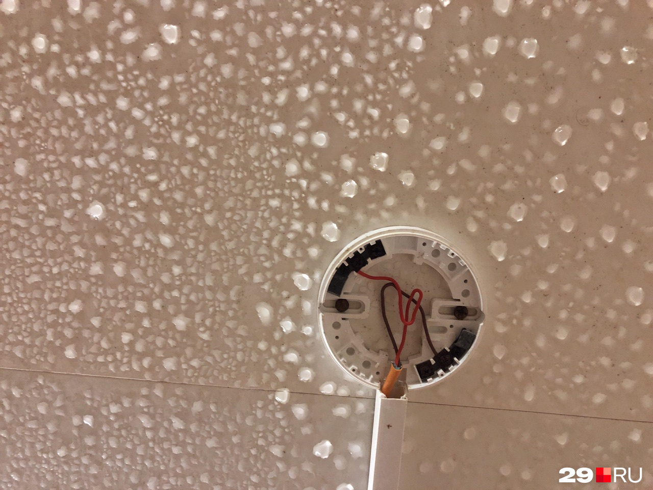 На месте лампочки — провода, на потолке скапливается влага