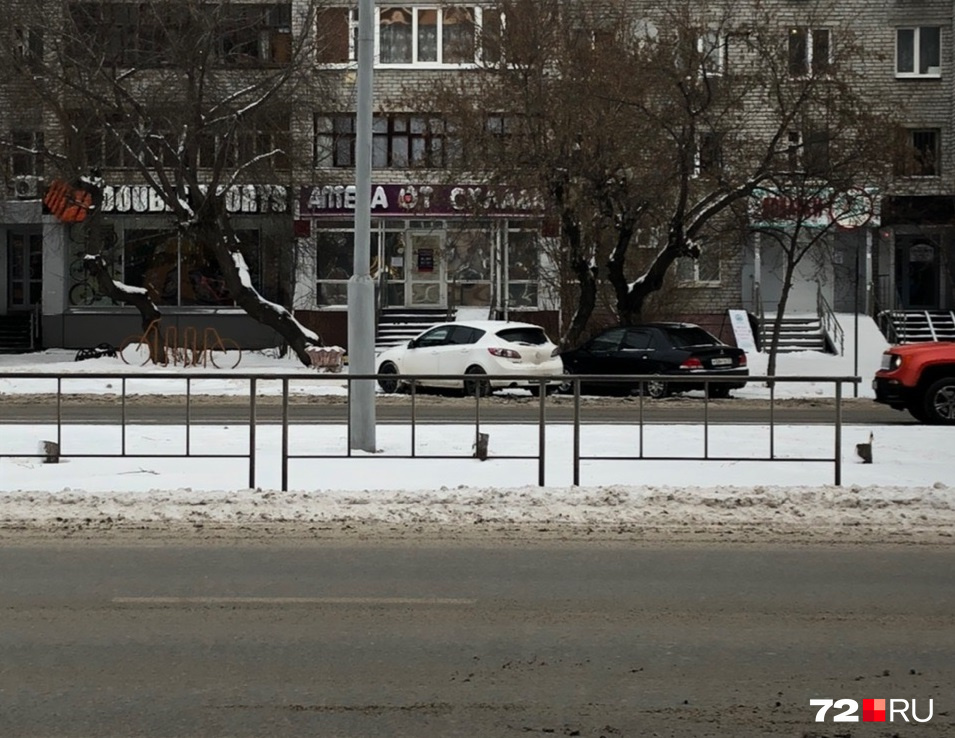 Спиленные деревья росли на разделительной полосе Спиленные деревья росли на разделительной полосе
