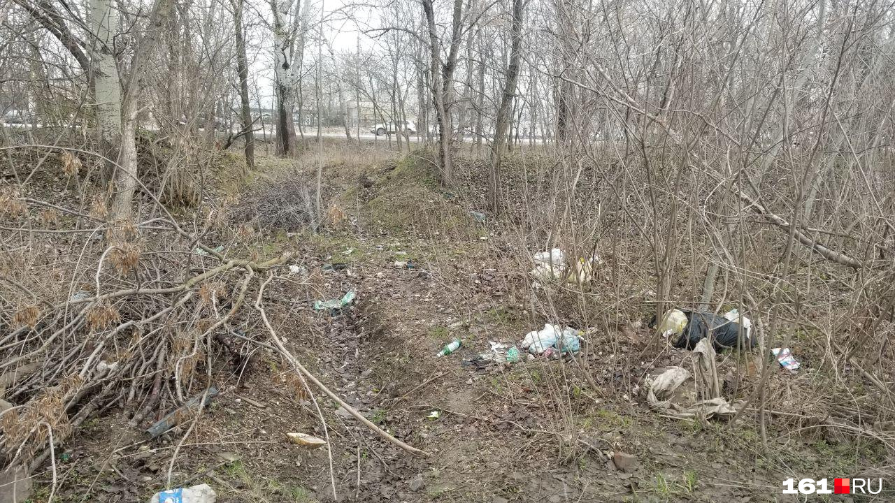 Жители товарищества решили бороться с мусором своими силами Жители товарищества решили бороться с мусором своими силами