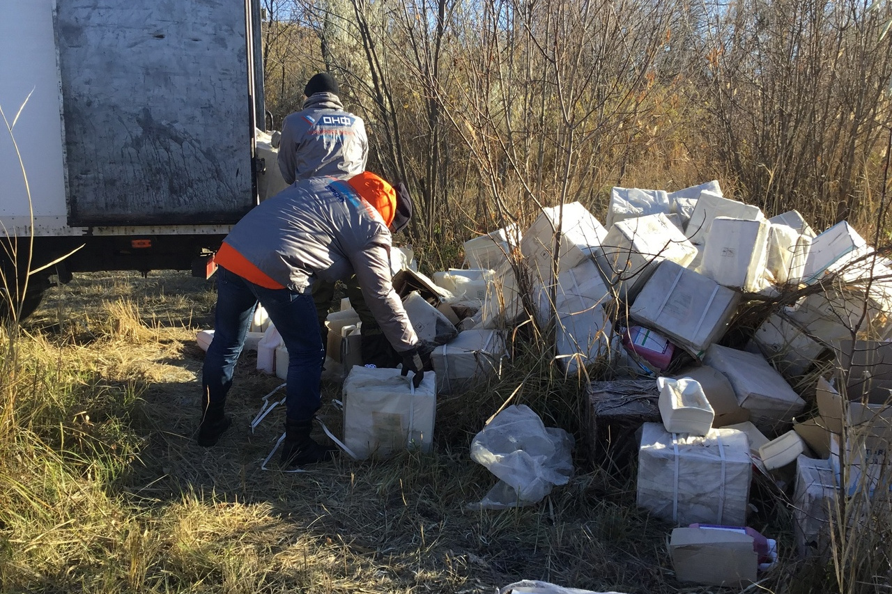 У чиновников людей нет»: волгоградцы сами вывезли опасную свалку пестицидов  из поймы реки Царицы - 2 ноября 2018 - v1.ru