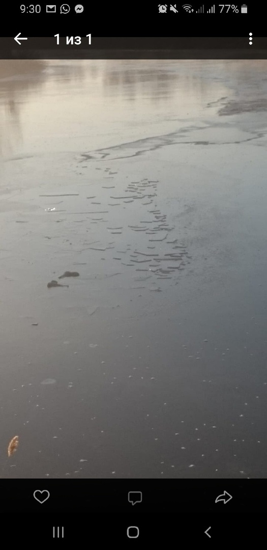 В воде плавали сапоги Сергея В воде плавали сапоги Сергея