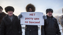Тридцать новосибирцев устроили протест против дорогого бензина в Первомайском сквере