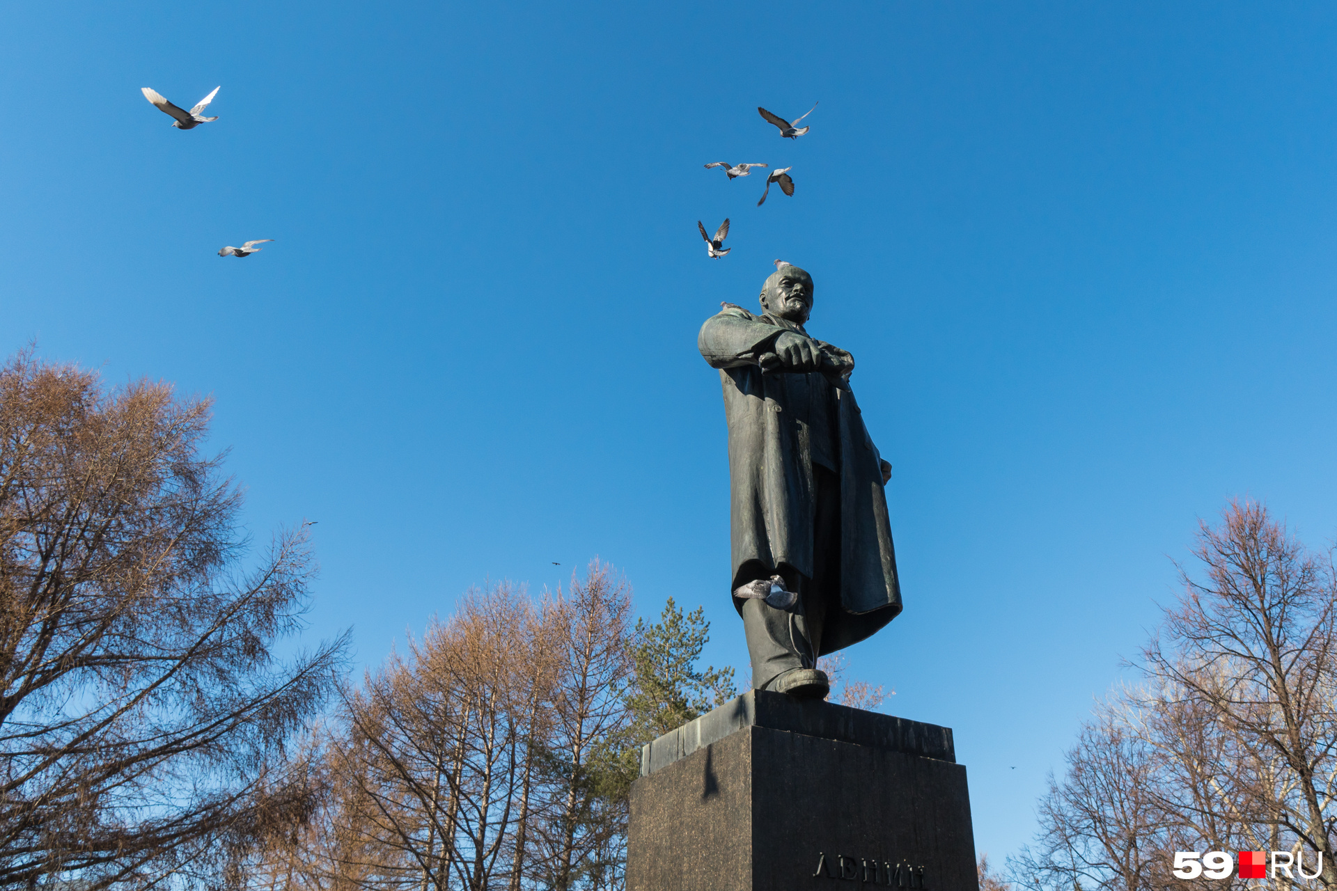 Не успели помыть. а голуби тут как тут Не успели помыть. а голуби тут как тут