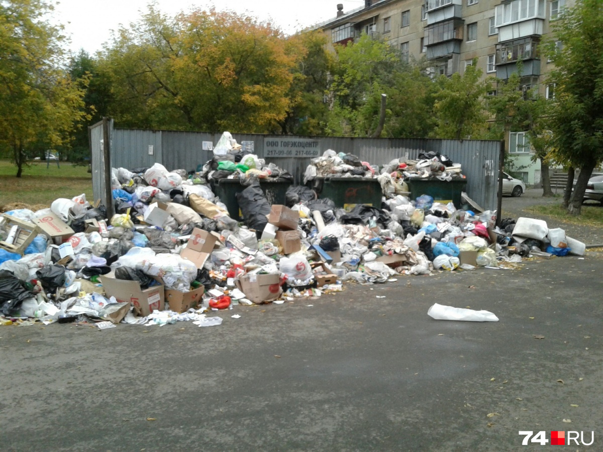 На уборку мусора, скопившегося во дворах, выдедиди беспрецедентно крупную сумму из бюджета области<br>