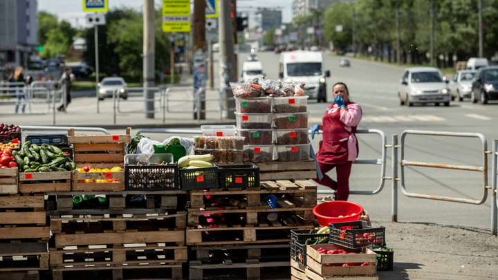 В мэрии анонсировали рейды по стихийным рынкам на улицах Челябинска