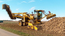 В Ростовской области построят сахарный завод за 120 миллионов евро
