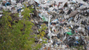 «Я считаю, что на нас давят»: депутаты Курганской городской думы не отдали землю под сортировку мусора