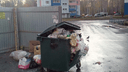 Челябинцы засекли мусоровозы, которые подбрасывают в их контейнеры чужие отходы