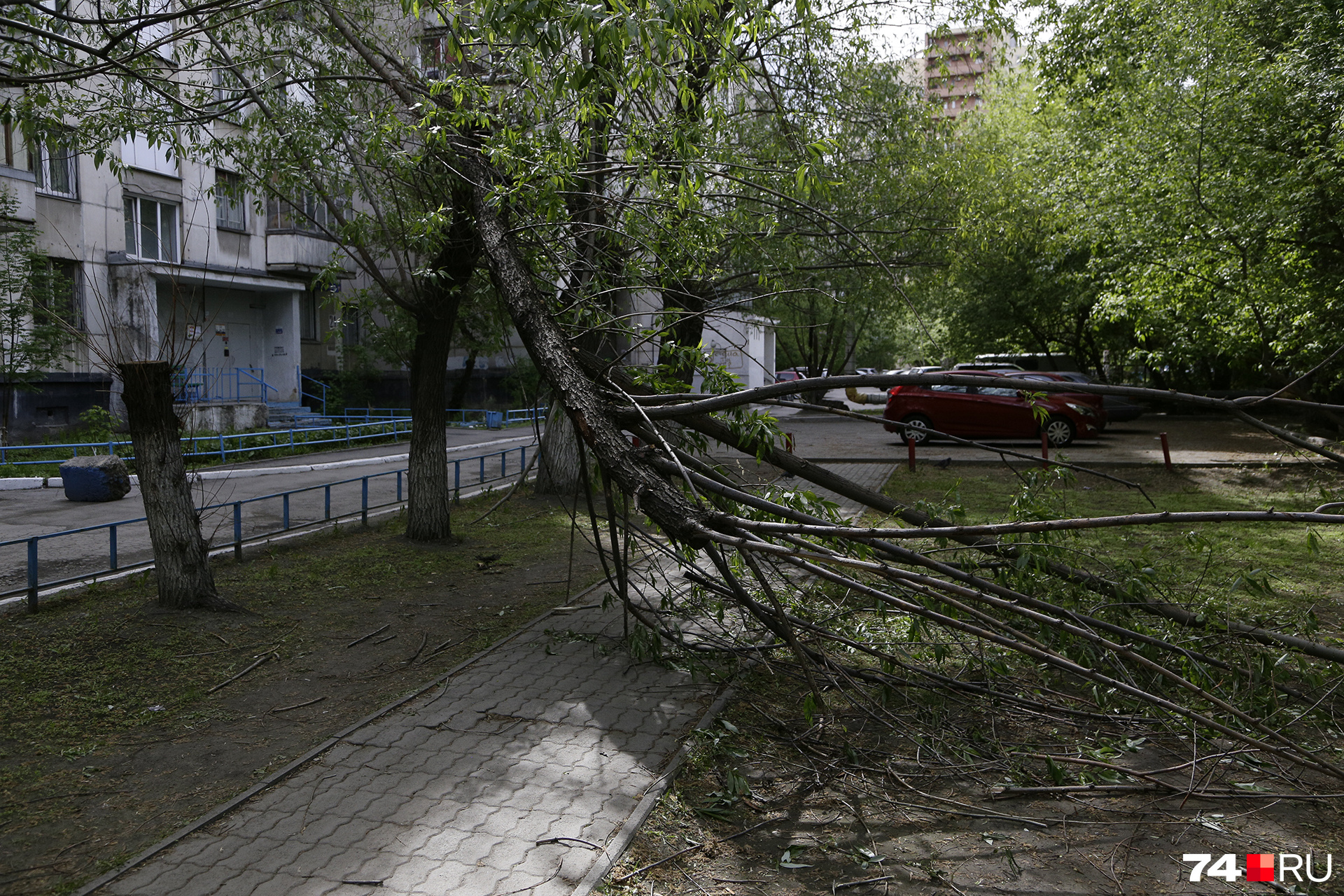 На Кирова, 21 за двором явно не следят, сломанное дерево убирать с пешеходной дорожки не спешат