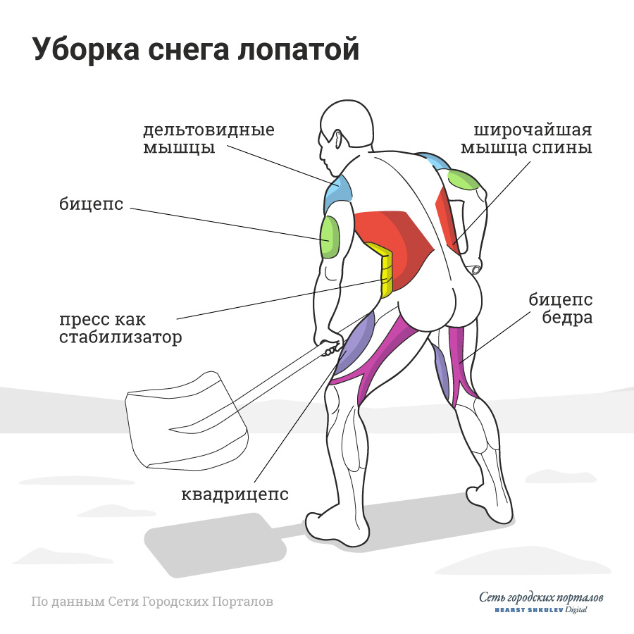 Фитнес зимой на улице: на какие мышцы можно работать, варианты упражнений с  лопатой - 21 декабря 2019 - 45.ru