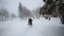 Лучше не станет: ГИБДД предупреждает курганцев об ухудшении дорожных условий из-за снегопада
