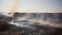 МЧС назвало главную причину пожаров в лесах и полях — это новосибирцы