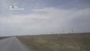 Атакующие Волгоградскую область полчища саранчи попали на видео