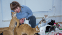 «Их жизнь зависит от меня»: уфимка победила рак и бросила бизнес ради 120 собак и кошек