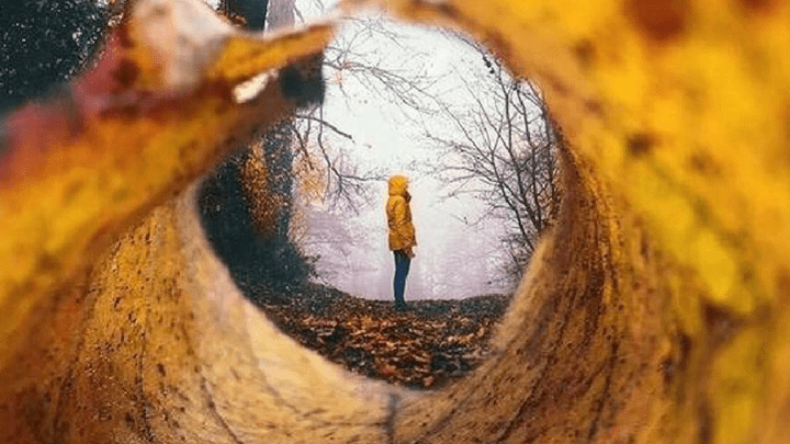 Покажи свой Instagram: нижегородцы делятся советами, как пережить холодную осень