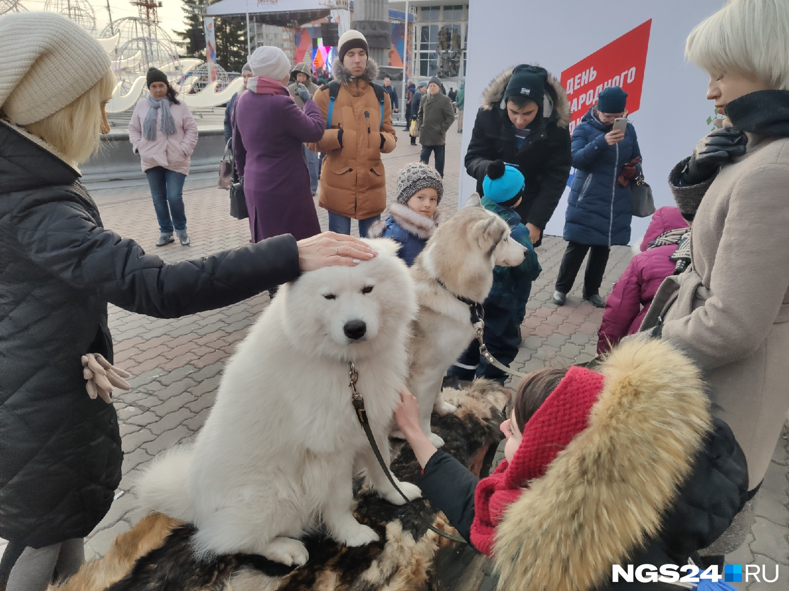 К вечеру собачки уже выглядели уставшими, но продолжали дарить радость окружающим К вечеру собачки уже выглядели уставшими, но продолжали дарить радость окружающим