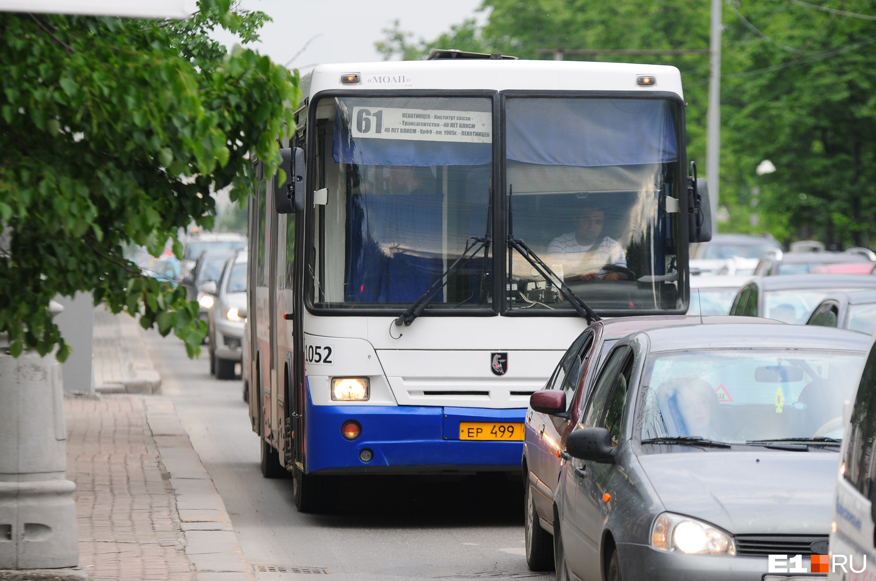 Автобусы — самый многочисленный вид общественного транспорта