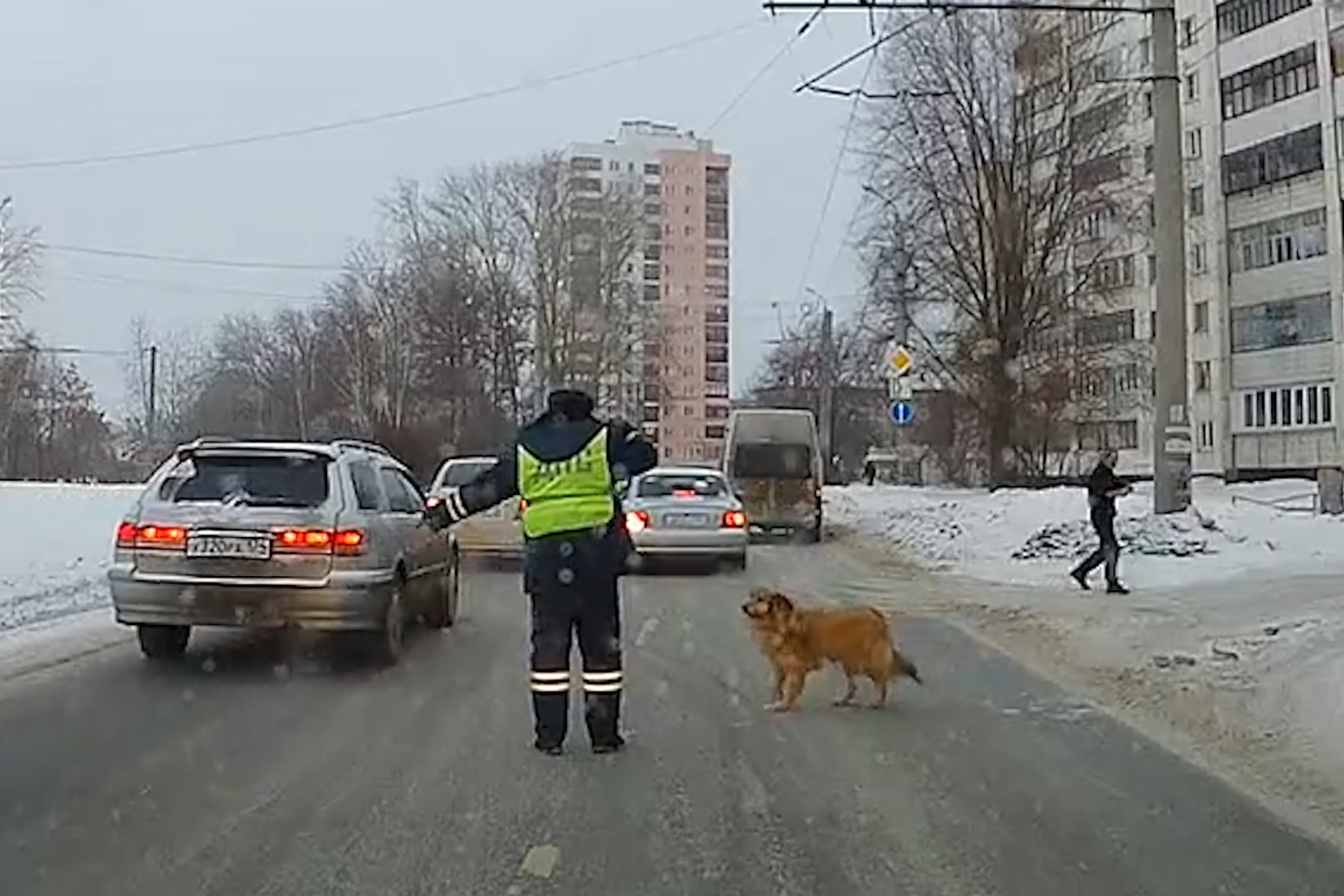 Обыск машины сотрудниками гибдд