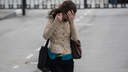 Новосибирцев предупредили о резком усилении ветра
