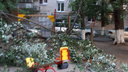 В Ростове на детскую площадку упало дерево