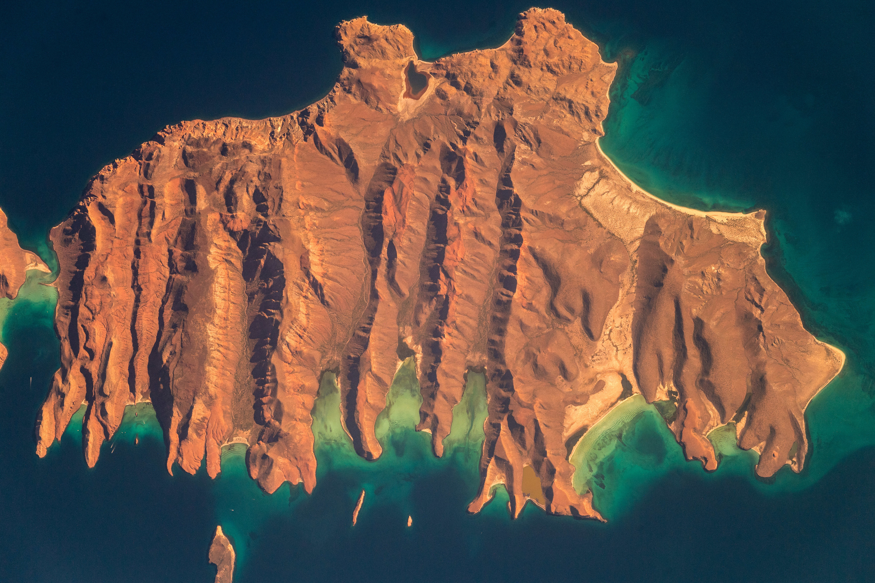 Это остров в Калифорнийском заливе в Мексике. «Остров похож на зубра, рядом есть еще один остров поменьше, напоминающий детеныша зубра. Вода вокруг острова изменяет свой цвет за счет микроорганизмов»