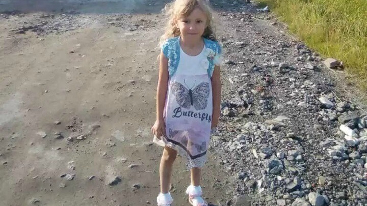 Зарину нашли! Пропавшая в лесах Нижегородской области девочка найдена живой
