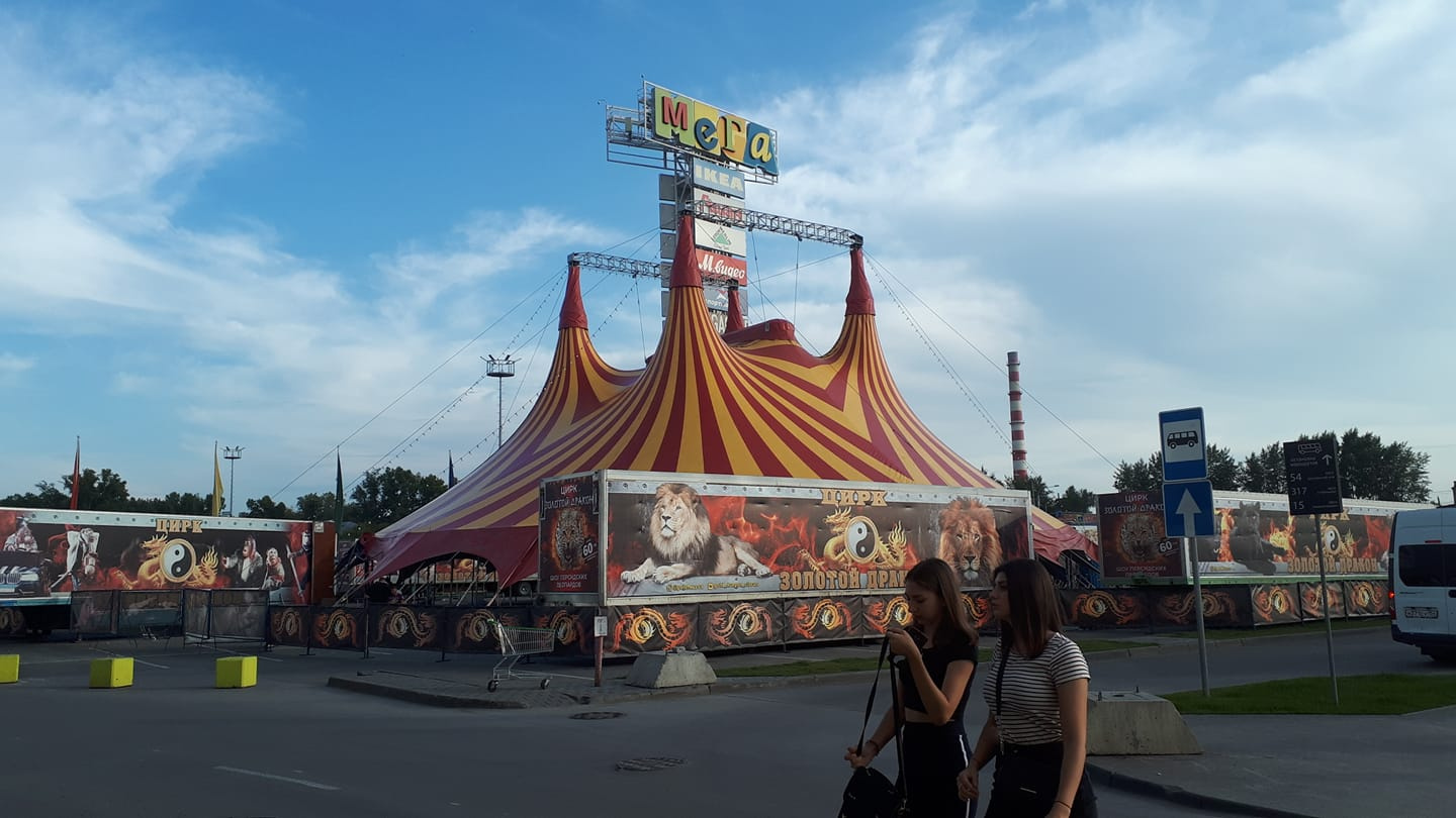 Цирк шапито до конца октября планирует выступать на парковке МЕГИ