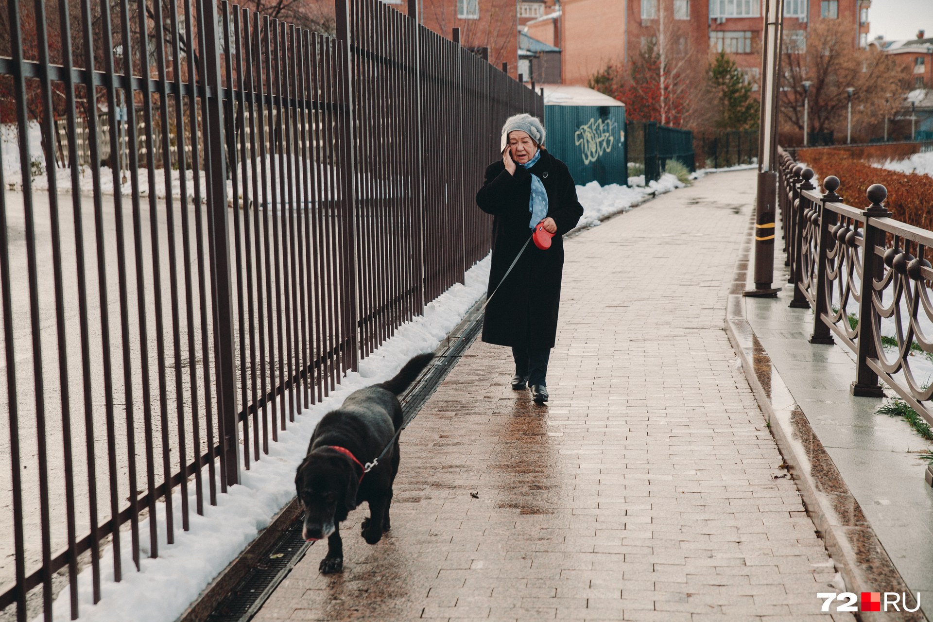 Несмотря на хорошую погоду, на набережной встретили только эту женщину, которая выгуливала свою собаку и весело что-то обсуждала по телефону