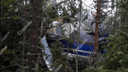 Жесткая посадка — это мягко сказано: детали приземления Ан-2 в лесу Поморья