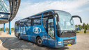 Фанатам предложили создать дизайн для формы и автобуса ХК «Лада»