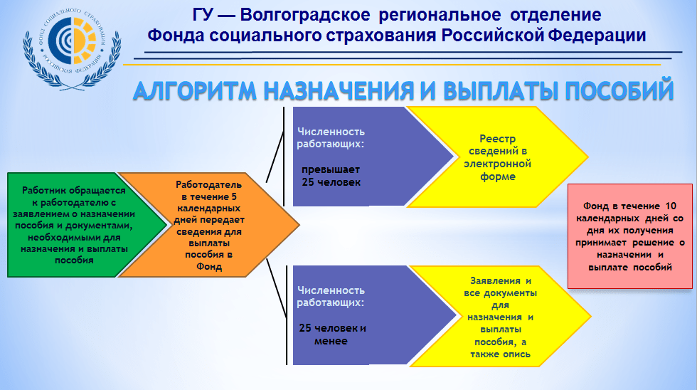 Отделы фонда социального страхования. Про Актив ФСС.