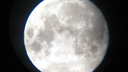 Видеотрансляция лунного затмения в Омске