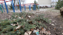 Срубили нашу елочку: в ростовской школе со двора украли дерево, посаженное детьми