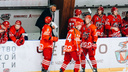 ХК «Ростов» в дебютном сезоне в ВХЛ занял 24-е место