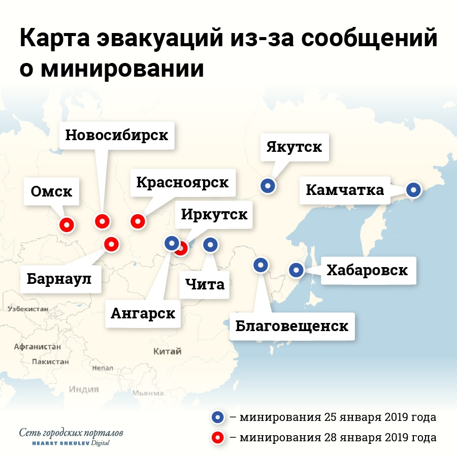 Инфографика Полины Авдошиной