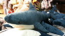 Продавцы акул: хитрые новосибирцы начали перепродавать игрушки из ИКЕА