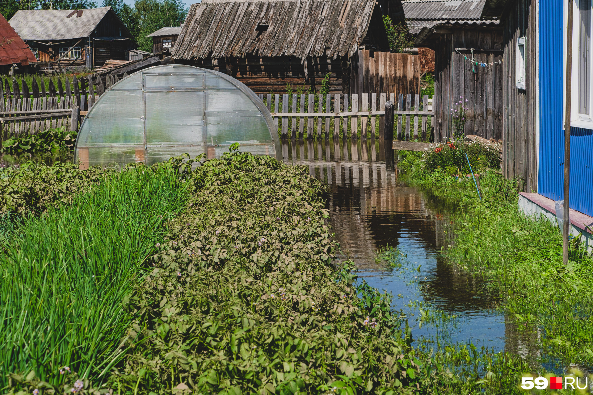 Местные огороды в Юрле стоят в воде, теплицы затоплены