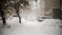 Почему нынче аномально тёплая зима — объясняют синоптики из Новосибирска