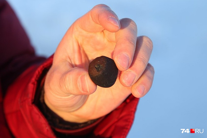Осколки метеорита выглядят как чёрные камешки