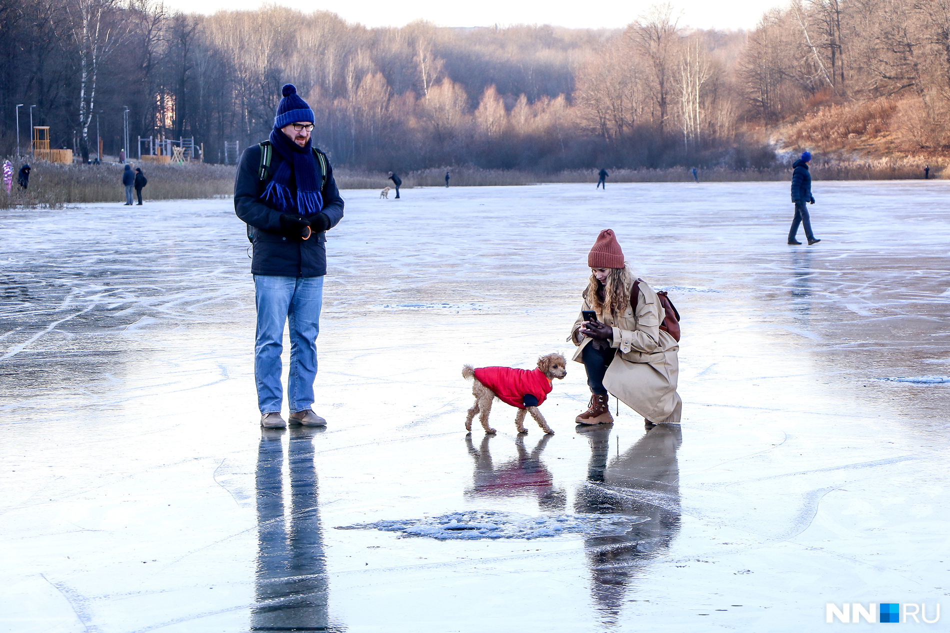 Нижегородцы захватили с собой на лед собак