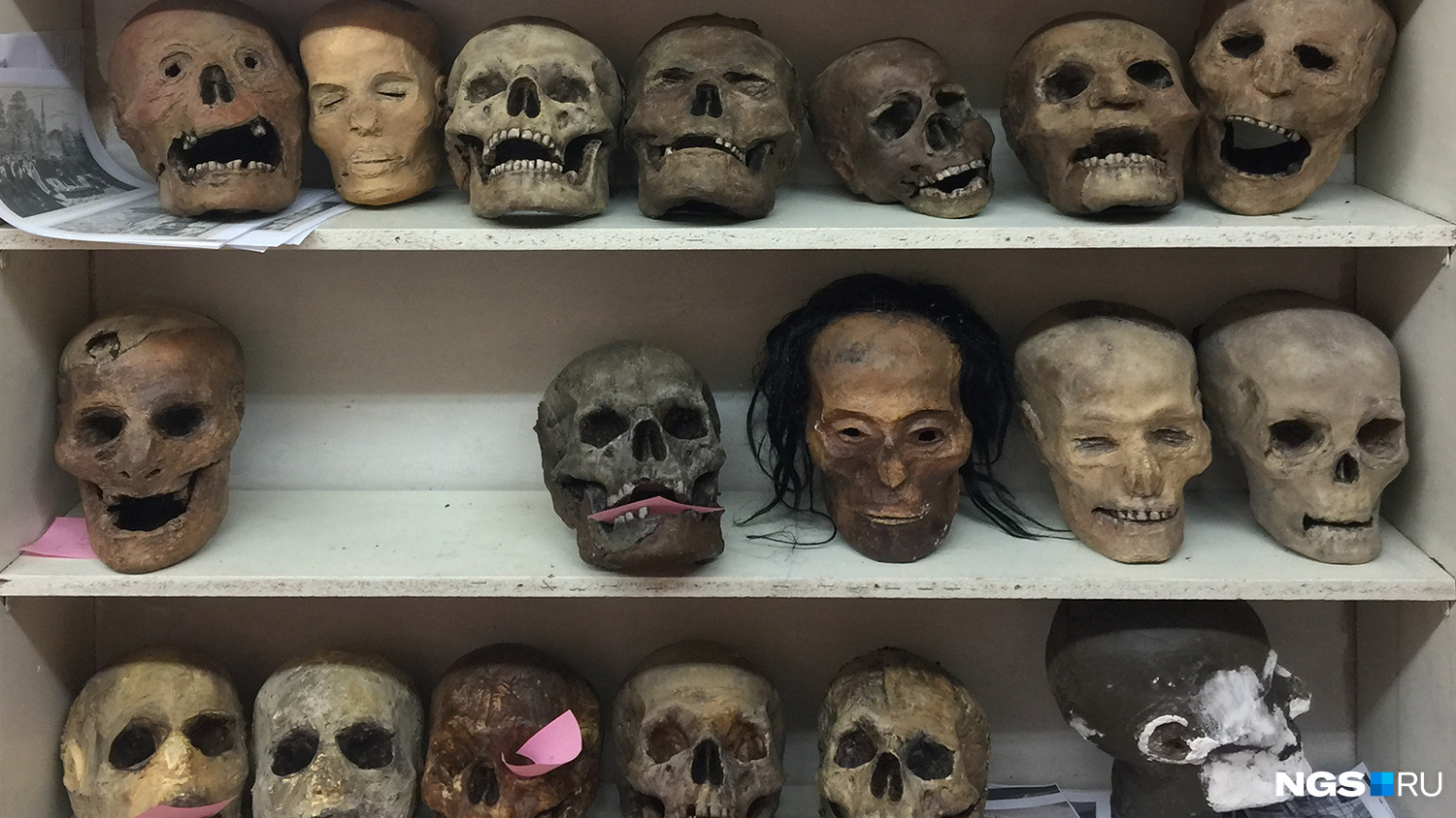 «Заготовки» для будущей экспозиции Музея Смерти — бутафорские копии черепов и голов мумий