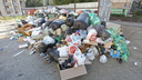 Пропахли на весь свет: о мусорном коллапсе в Челябинске рассказали BBC и Deutsche Welle