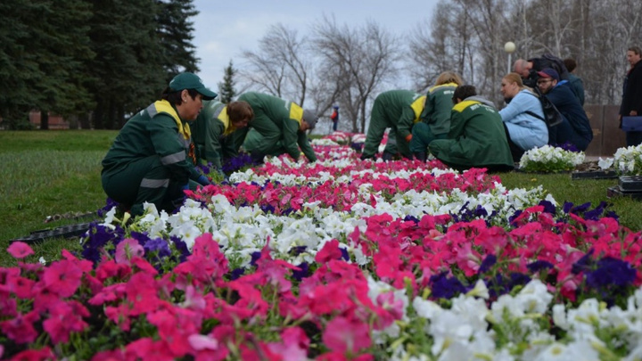 60 тысяч петуний и бархатцев: в Уфе ко Дню Победы высадили цветы